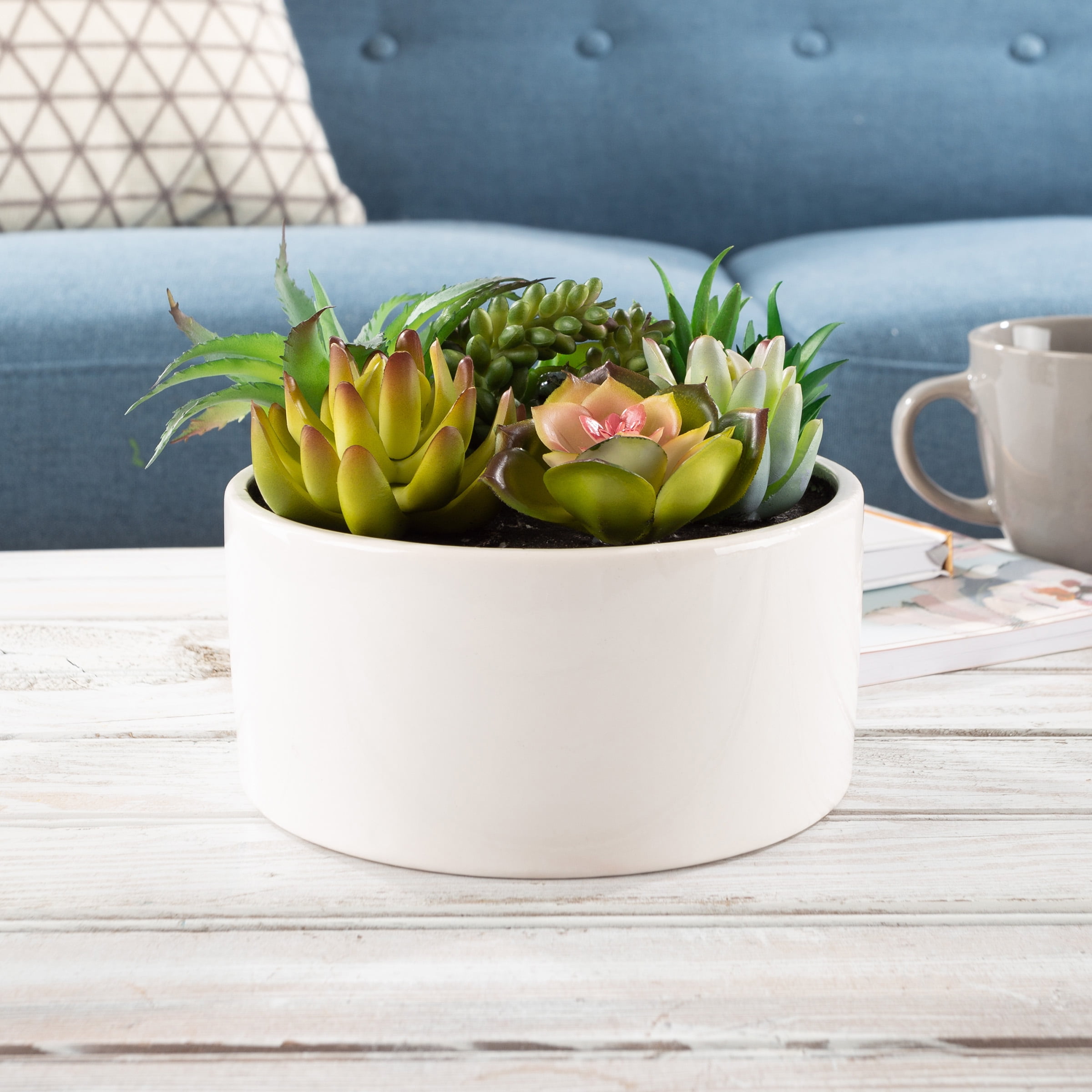 Assorted Faux Succulents- Artificial Mini Plant Arrangement in White ...