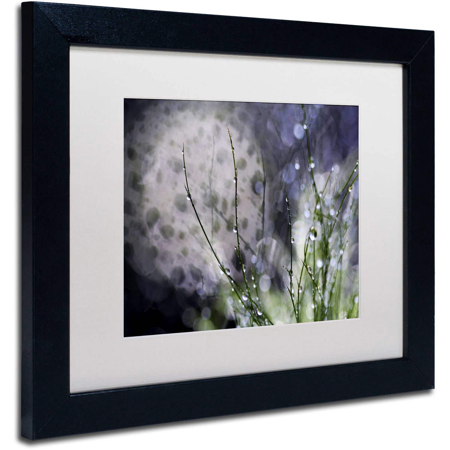Trademark Fine Art "Morning Tale" Canvas Art by Beata Czyzowska Young, White Matte, Black Frame