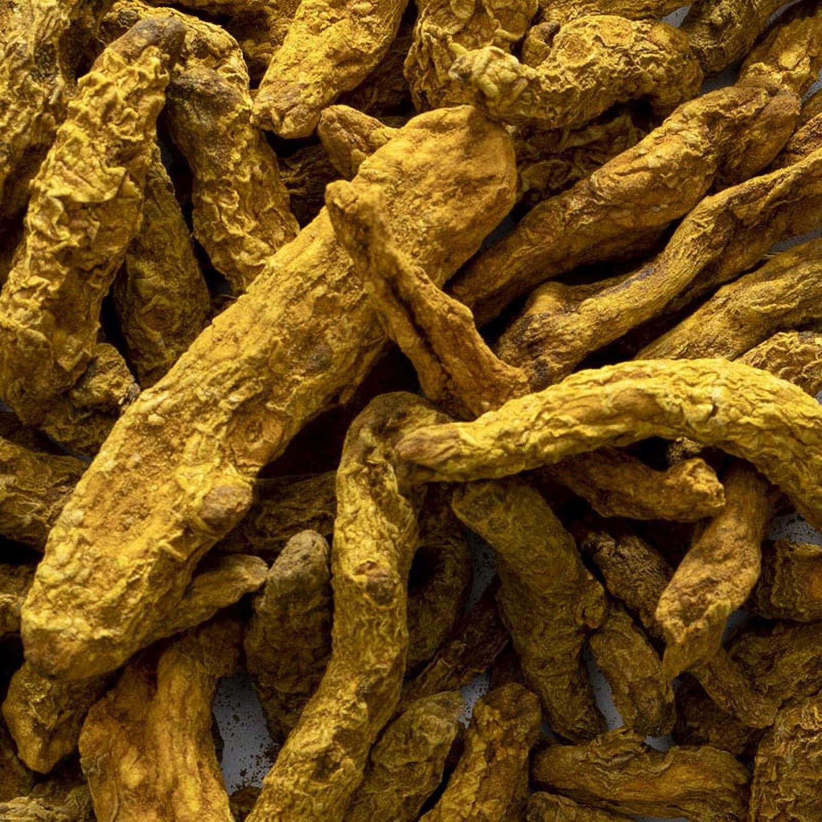Frontier Co-op 4604 Turmeric Root, Whole, Organic 16 oz.