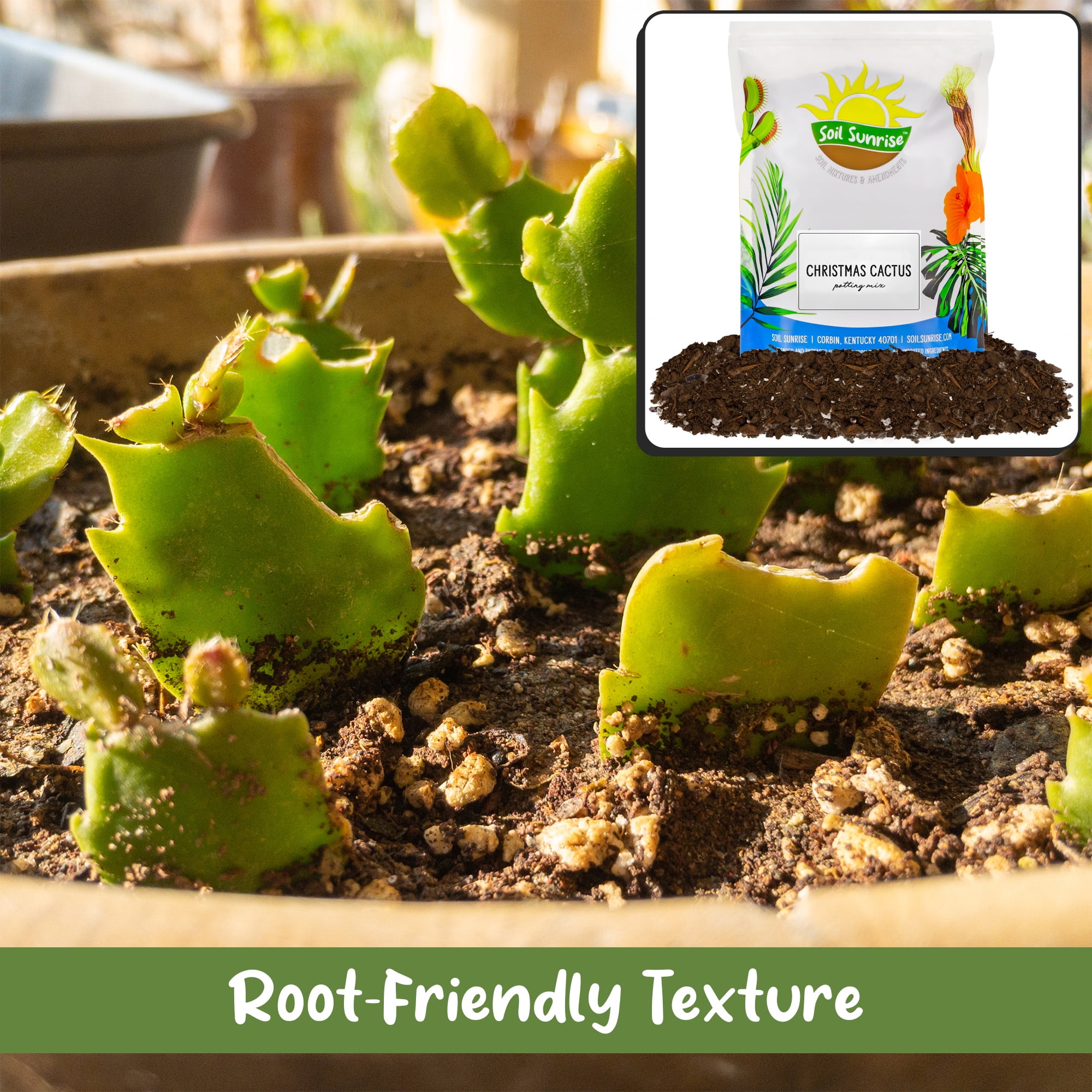 Christmas Cactus Potting Soil Mix (8 Quarts), Custom Blend for Xmas, Easter, and Thanksgiving Cactus Tropical Indoor Houseplants