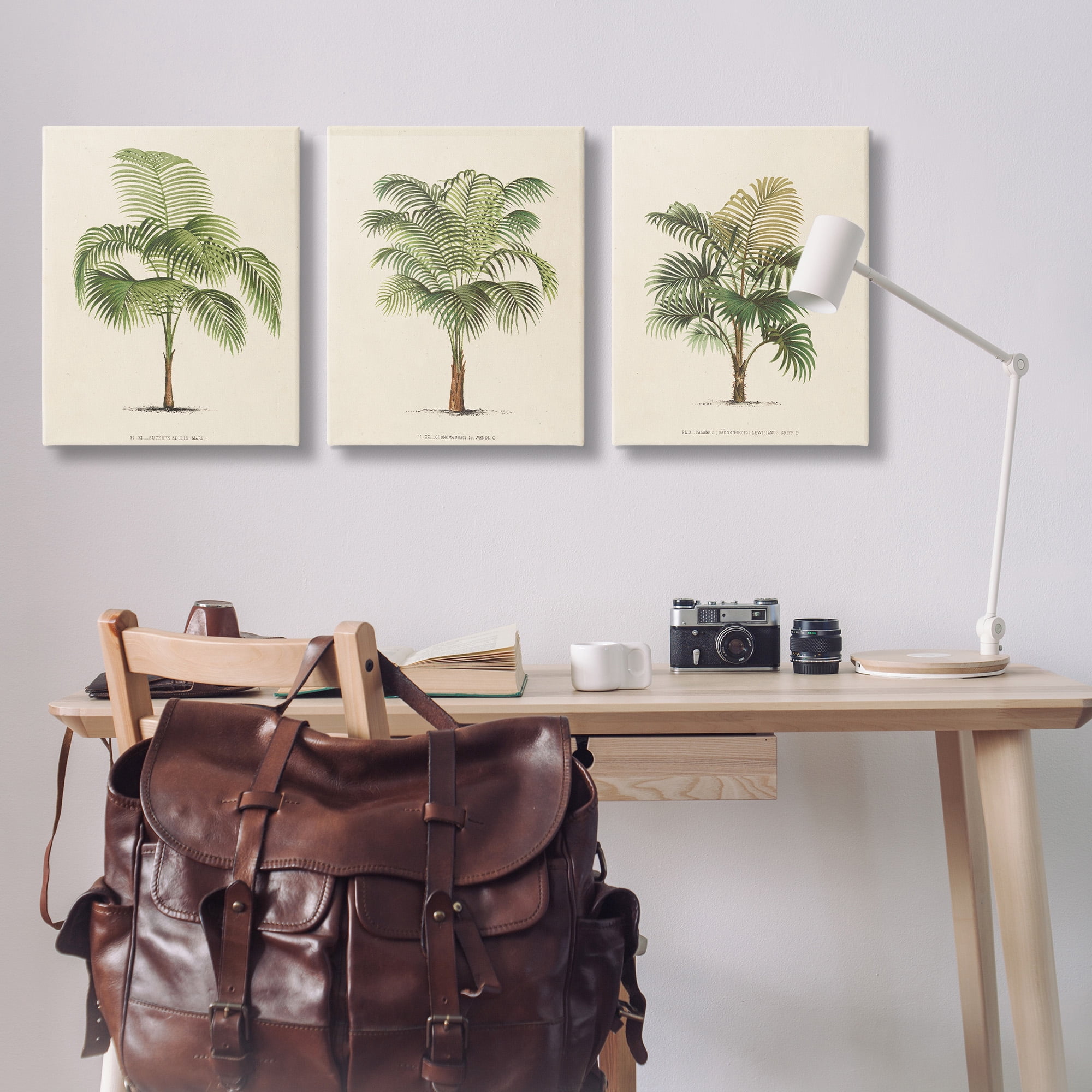 Stupell Industries Les Palmiers Botanical Trio Botanical & Floral Painting Gallery Wrapped Canvas Art Print Wall Art, 24 x 30, Set of 3