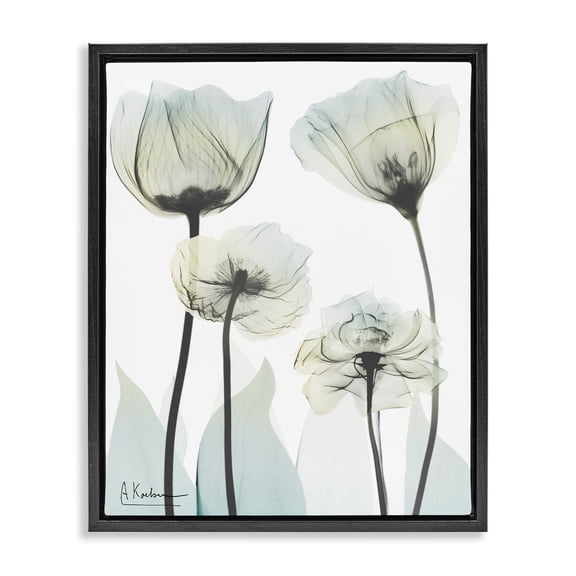 Stupell Industries Modern Floral Luxury Of Creation Black Floating Frame Canvas Art, 17 x 21, by Albert Koetsier