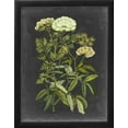 thumbnail image 2 of Bookplate Floral I, Botanical Framed Art Print Wall Art by Naomi McCavitt Sold by Art.Com, 2 of 6