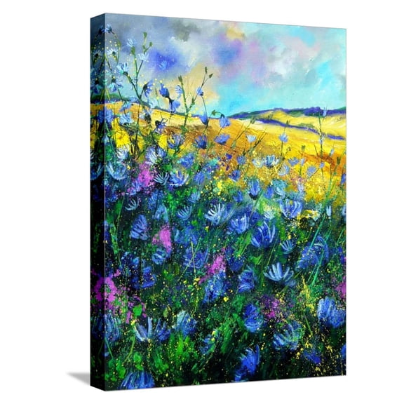 Art.com Wild chicorees Stretched Canvas Print Wall Art by Pol Ledent, 12" x 16"