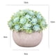 thumbnail image 2 of Pequeñas plantas verdes artificiales para la decoración de la casa., 2 of 5