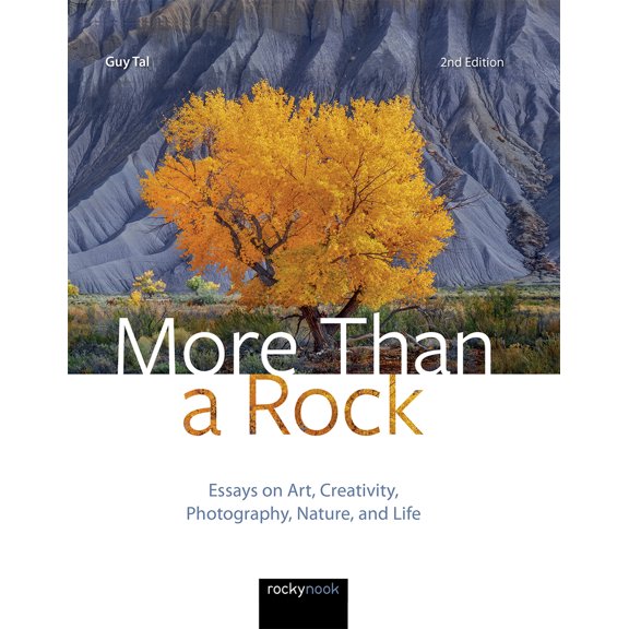 Pre-Owned More Than a Rock, 2nd Edition: Essays on Art, Creativity, Photography, Nature, and Life (Hardcover) 1681986833 9781681986838