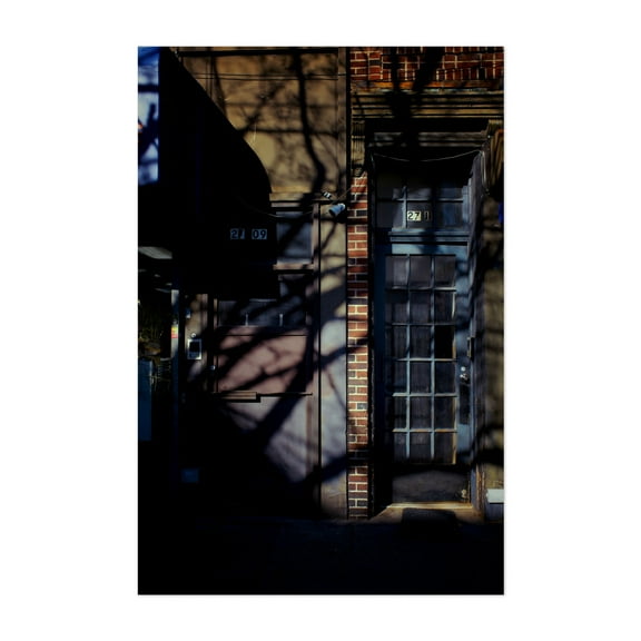 Tree Shadows on Brick - Queens New York Photography Unframed Wall Art Print 5 x 7 inches