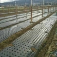 thumbnail image 2 of Ground Cover Plants Film Perforated Mulch 10m*0.95m/10m*1.35m Anti Grass Black Farm Vegetable Home Garden PE Film, 2 of 6