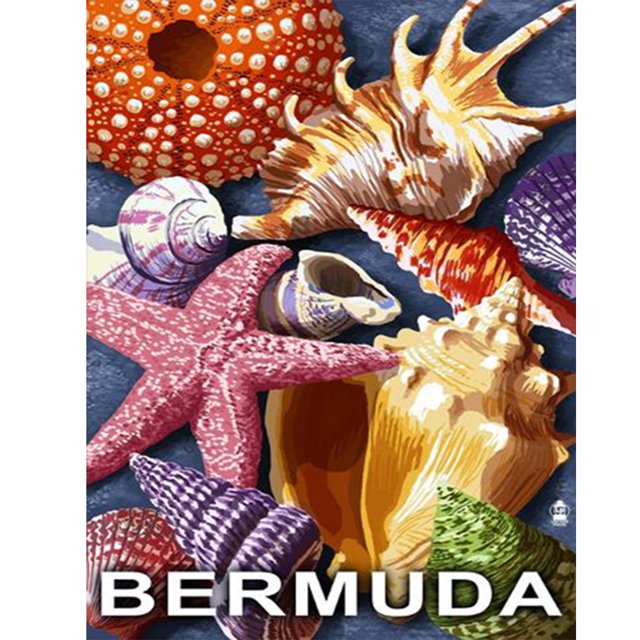 Cuadros Decorativos 5D bricolaje ronda completa taladro diamante pintura playa Shell Kit decoración del hogar (w1143) DQrwqpou Nuevos Originales
