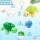 thumbnail image 3 of Peluche de peluche HyDren con forma de tortuga pequeña, 24 unidades, para niños, 3 of 6