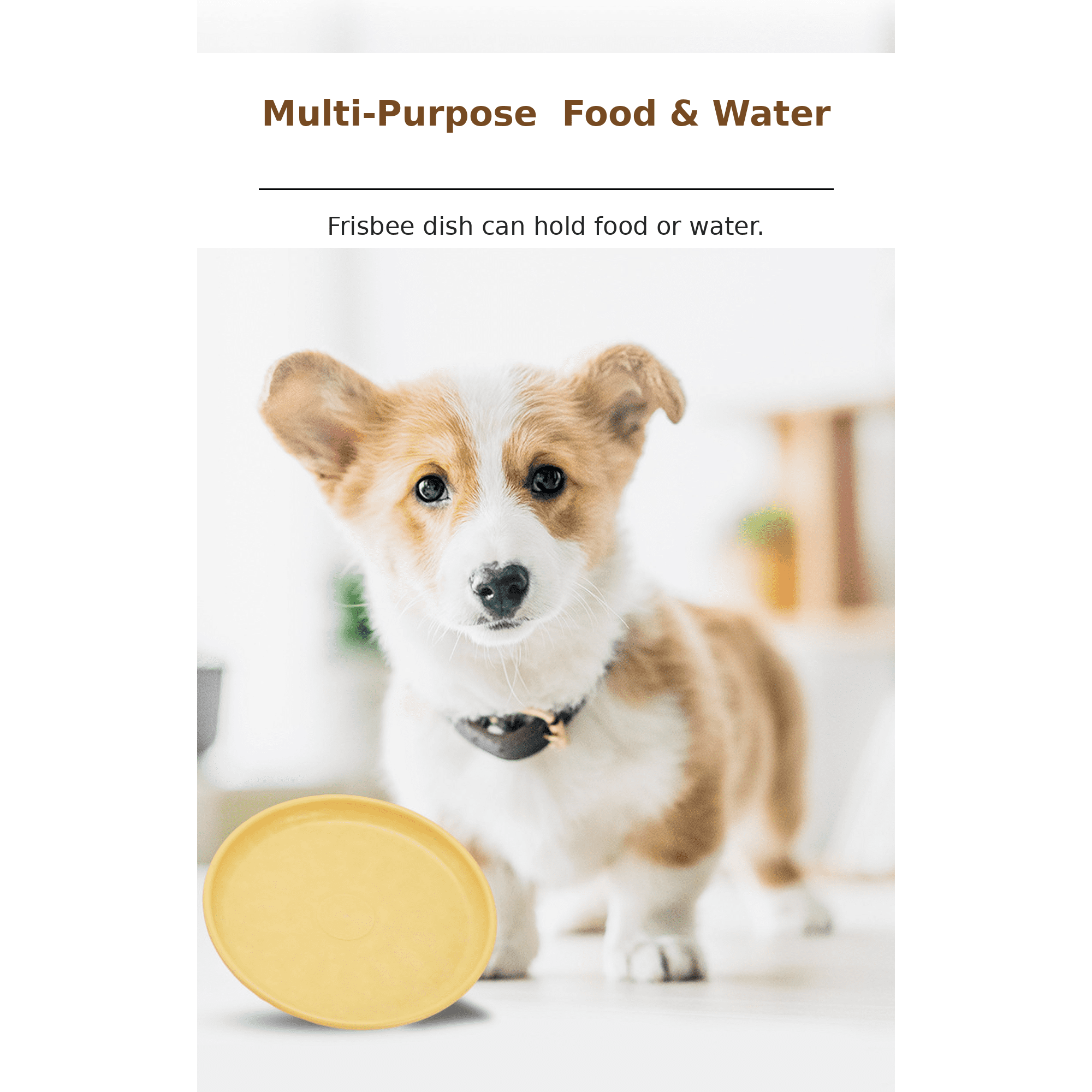 Pawmelo TPR Dog Flying Disc 3-Pack, 8.98" Soft Fetch Frisbee, Floats in Water (Blue/Yellow/Pink)