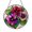 Stained Glass 7.87 Inch, variant on Vibrant Morning Glory Glass Suncatcher, Round Floral Window Hanging for Home Decor