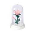 thumbnail image 2 of Rourlinge Birthday Flower Gifts for Mom,Tulips Night Light Small Glass Flower Lamp with Base for Home Decor Romantic Unique Christmas Gift for Women Girlfriend Sister Grandma Wife Her, 2 of 6