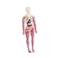 thumbnail image 3 of Siruishop 19Pcs Transparent Human Body Model Bodily Structure Figure for Classroom Teacher style A, 3 of 7