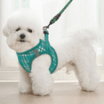 thumbnail image 3 of Magshion No Pull Dog Harness with Leash, No Choke Reflective Pet Vest Adjustable Breathable Mesh Harnesses Dogs Walking, Lawn Green XS, 3 of 10
