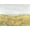Unframed, variant on Art.com Wheat Fields I Art Print by Tim OToole, 16" x 12"