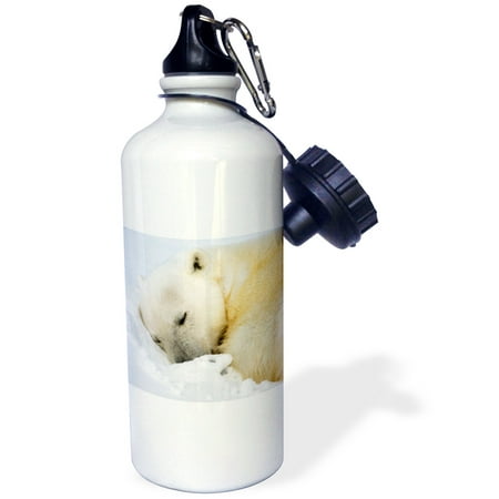 

3dRose Norway Svalbard Spitsbergen Island Polar Bear - EU21 PSO0391 - Paul Souders Sports Water Bottle 21oz