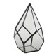 thumbnail image 1 of Maceta de Terrario geométrico BLESIY Negro, 1 of 7