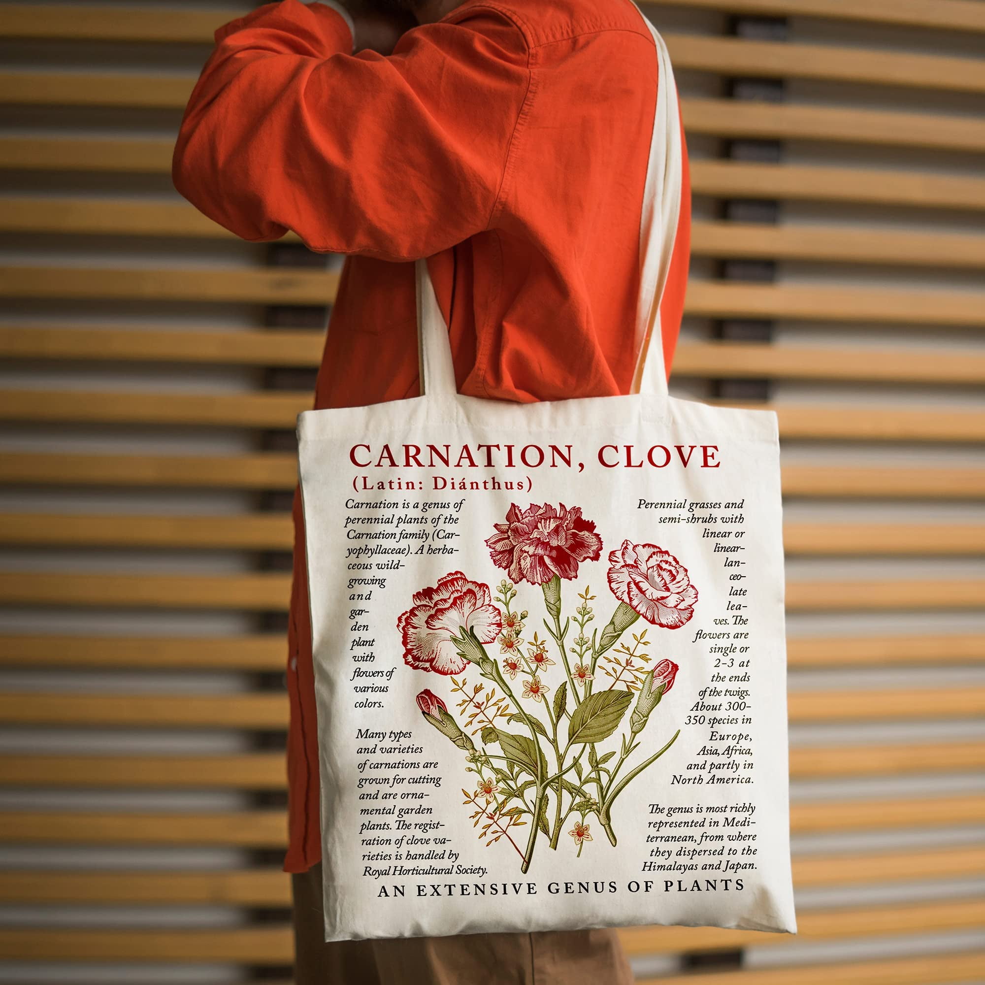 Butterfly Canvas Tote Bag with Zipper Pockets Carnation Flower Cute Tote  Bag Aesthetic Reusable Shopping Grocery Bags Birthday Gifts for Women  Mother Teacher Mother's Day Gift - Yahoo Shopping