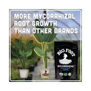 Big Foot Mycorrhizae for Plants, Potted Plants and Gardens - Concentrate Fully Dissolves in Water, Year Round Organic Fertilizer for Root Growth and Healthy Soil - 10 Pounds of Mycorrhizal Inoculant