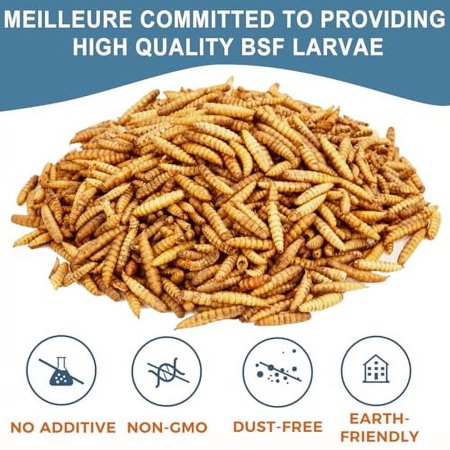 BSF Larvae 85X Calcium Than Dried Meal Worms 20LB(5lbx4) for Chicken Feed - Bulk Black Soldier Fly Larvae Poultry Treats - BSF Grubs Non-GMO Food High Protein Meal Worms for Hens,Wild Bird