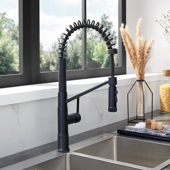 Nette Single-Handle Brass Kitchen Faucet with Pull Down Sprayer in Matte Black