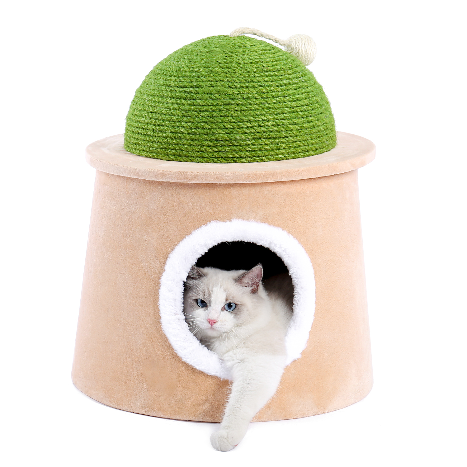 Cat Cave Bed Cat House Cat Tent with Sisal Scratching Post and sisal ball, Cat Kittens Cactus