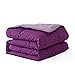 thumbnail image 3 of EVOLIVE All Season Pre Washed Soft Microfiber Down Alternative Reversible Comforter with Box Stitching (Purple/Lavender, Full/Queen), 3 of 4
