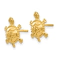 thumbnail image 2 of 14K Yellow Gold Earring Button Women'S 12 mm 10 Turtle Post Earrings, 2 of 3