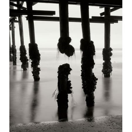 Pier One 10 Pier Pilings 10, Fine Art Photograph By: Lee Peterson; One 22x28in Fine Art Paper Giclee Print ()