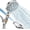 Chrome, variant on Handheld Shower with Filter - High Shower with 10 Modes, Hard Water Softener Showerhead with Hose, Bracket and Shower Filters to Remove Chlorine and Heavy Metals