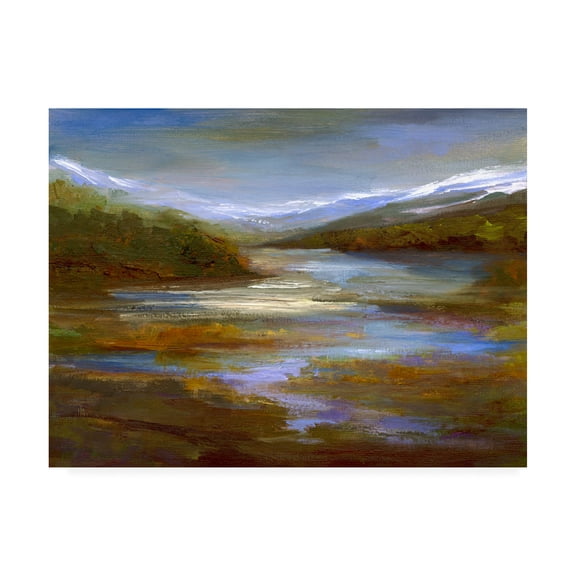 Trademark Fine Art 'Mountain Stream Landscape' Canvas Art by Sheila Finch