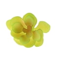 thumbnail image 4 of Decoración Sin Manchar Artificial Real Artificial de Del, 4 of 7