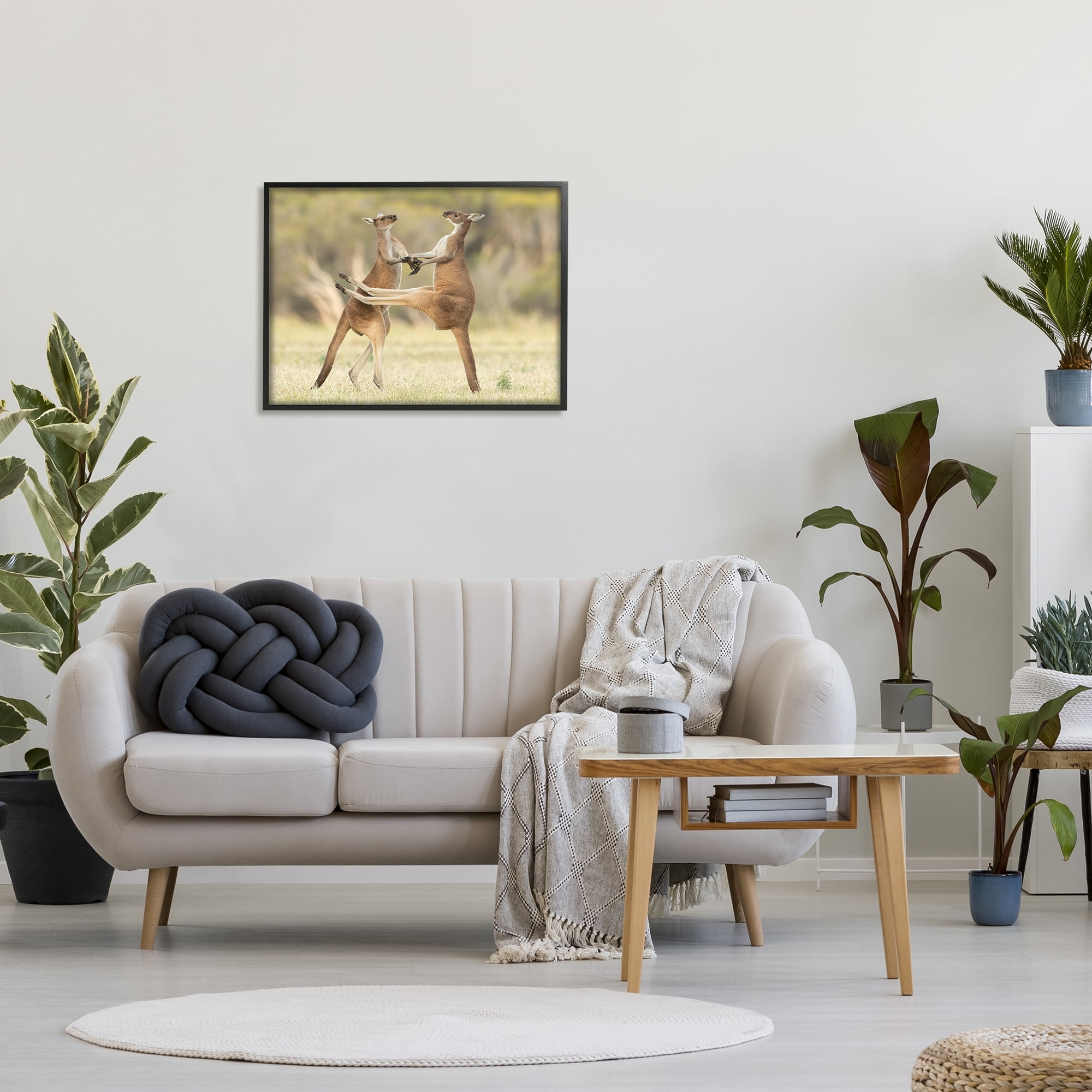 Stupell Industries Kangaroo Duo Photography Animals & Insects Photography Black Framed Art Print Wall Art, 30 x 24