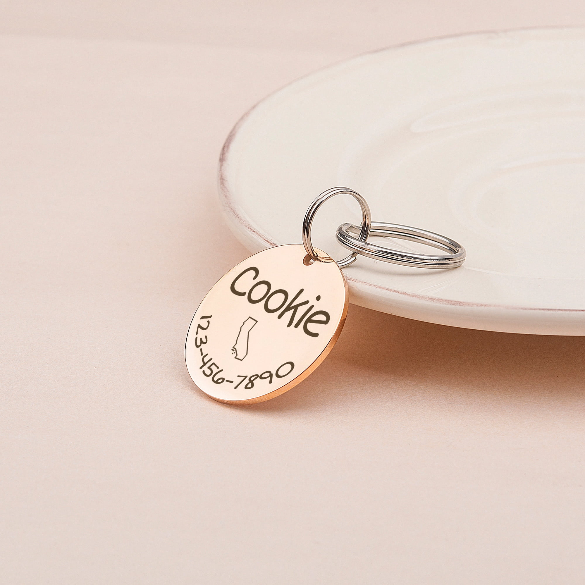 Anavia Stainless Steel Metal Round Name - State - Phone Number Birthday Holiday Christmas Engraved Dog Cat ID Tag, Rose Gold