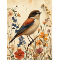 thumbnail image 1 of Qisvanset Framed Canvas Wall Art, 12x16 Inch Wildflower Sparrow Vintage Bible Gallery Art, 1 of 5