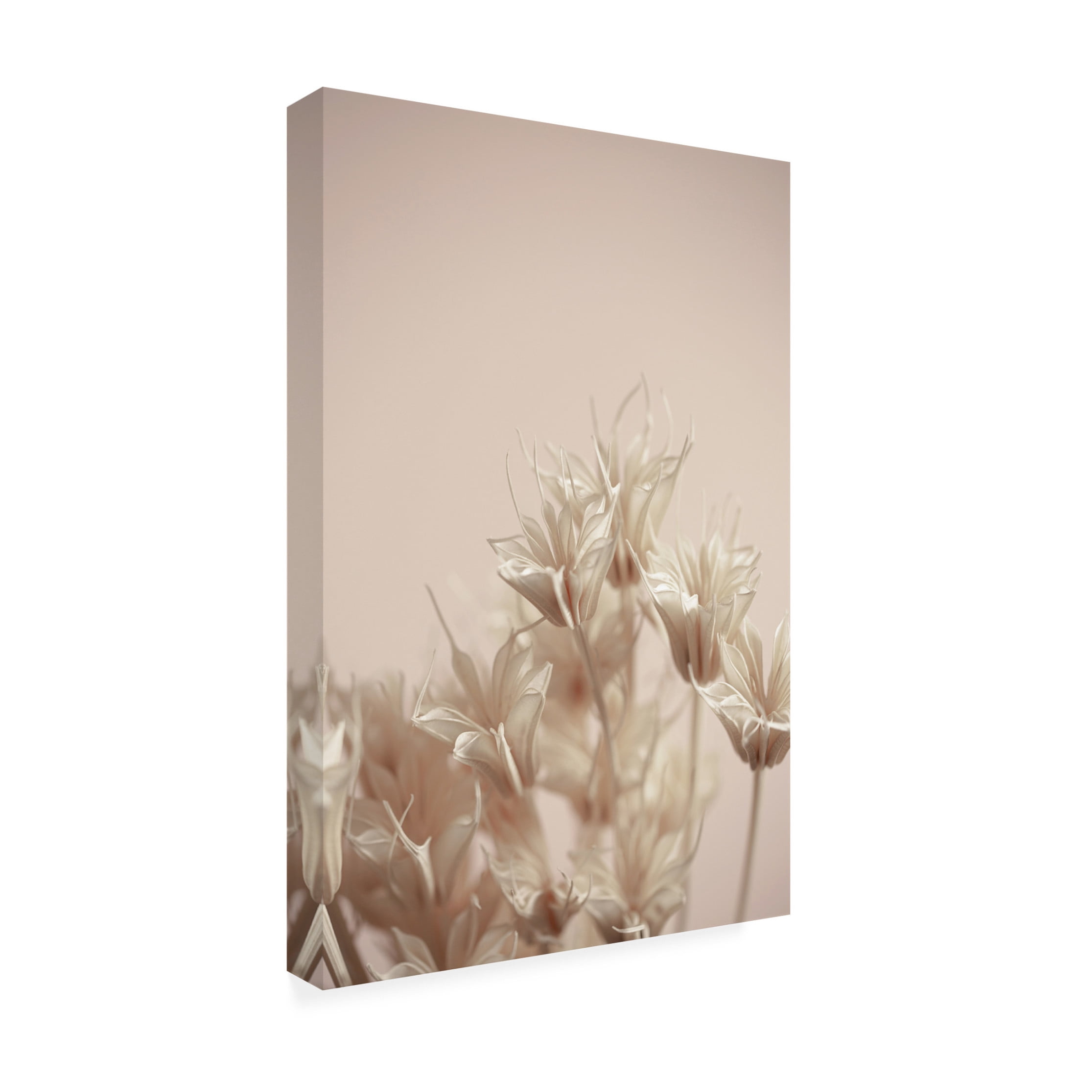 Trademark Fine Art Mareike Bohmer  Last Summer 17 Canvas Wall Art