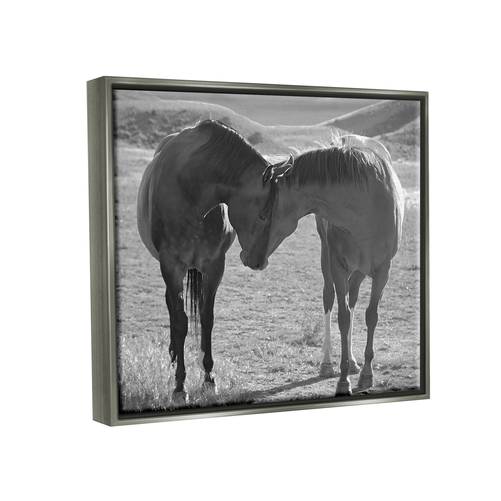 Stupell Industries Horses Hugging Photography Animals & Insects Photography Gray Floater Framed Canvas Art Print Wall Art, 21 x 17