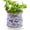 Blue Floral Vine, variant on Ceramic-Planters-for-Indoor-Plants with Saucer, 6 inch Vintage Ice Crackle Glaze Plant Pots with Drainage Holes, Decorative Flower Pots for Outdoor Garden Home Decor, Tuscan Pot for Plant