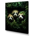thumbnail image 2 of Designart "Playful Pandas IV" Animals Canvas Wall Art - Traditional White Panda Living Room Canvas Art, 2 of 6