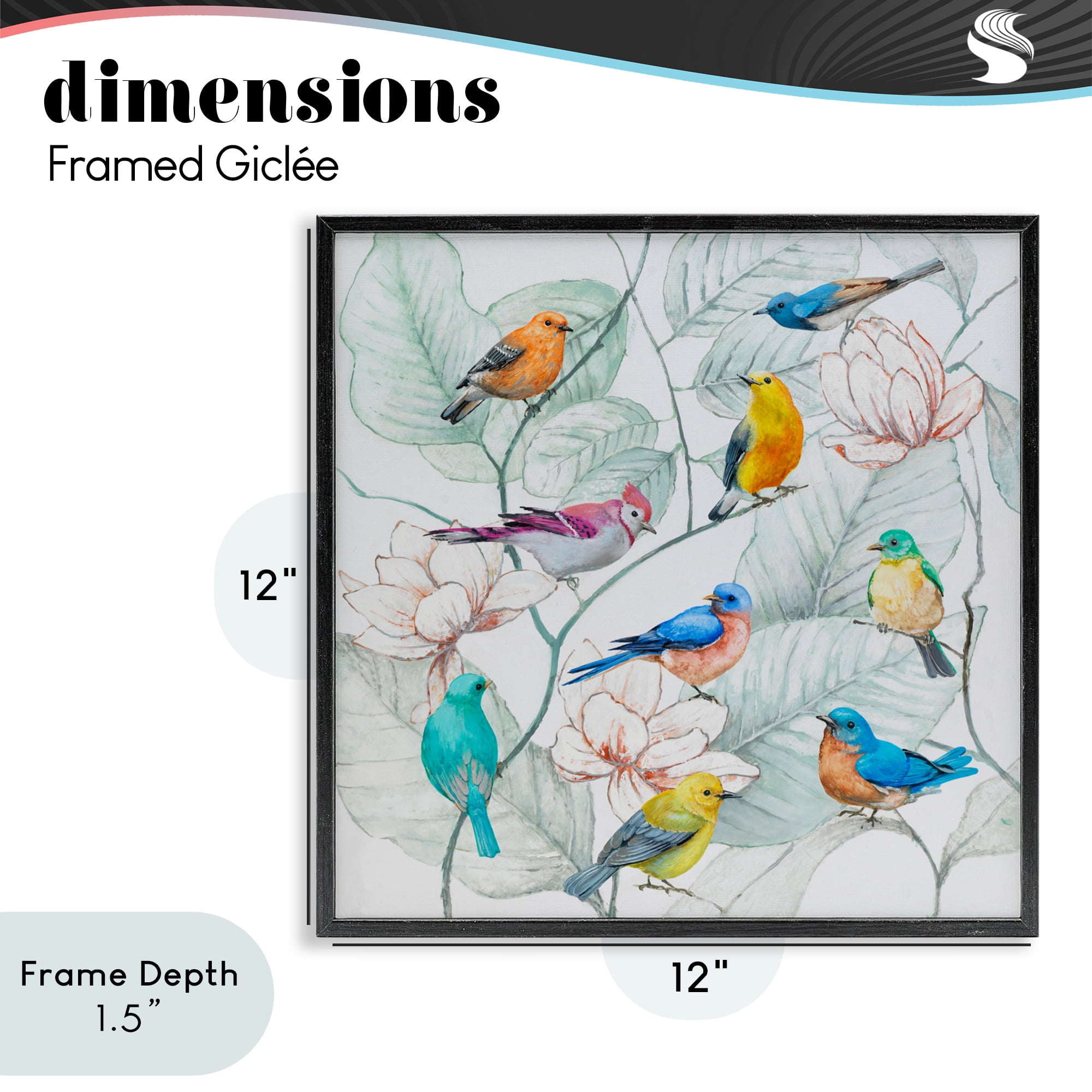 Stupell Industries Colorful Array Of Birds Black Framed Giclee Art, design by Lorenzo Collective