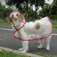 thumbnail image 1 of Xiao Hua Chubasquero impermeable para perros, ropa ligera para la lluvia con capucha tipo poncho (talla S, rojo), 1 of 4