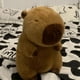 thumbnail image 3 of Capybara Plush Simulation Capibara Anime Fluffty Toy Kawaii Plushie Cute Doll Stuffed Animals Soft Doll Plush Gift Kid Toys, 3 of 3