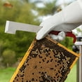 thumbnail image 2 of Honey Keeper 2-Pack Stainless Steel J Hook Bee Hive Tool, 10-1/2 inch Frame Lifter and Scraper, Beekeeping Equipment, 2 of 6
