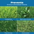 thumbnail image 4 of Scotts Turf Builder, Halts Crabgrass Preventer with Lawn Food, 5,000 sq. ft., 4 of 12