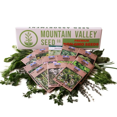 Clary Sage Seeds - Culinary Herb Garden Seeds Collection - Deluxe Assortment - 12 Non-GMO Seed Packets: Basil, Dill, Oregano, Mustard, Cilantro, Sage, Rosemary, Thyme, Arugula, More