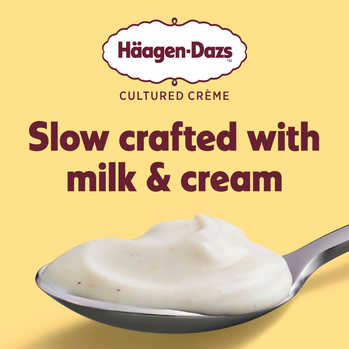 Haagen Dazs Cultured Cream Yogurt Style Snack, Vanilla Bean, 4 oz Cup