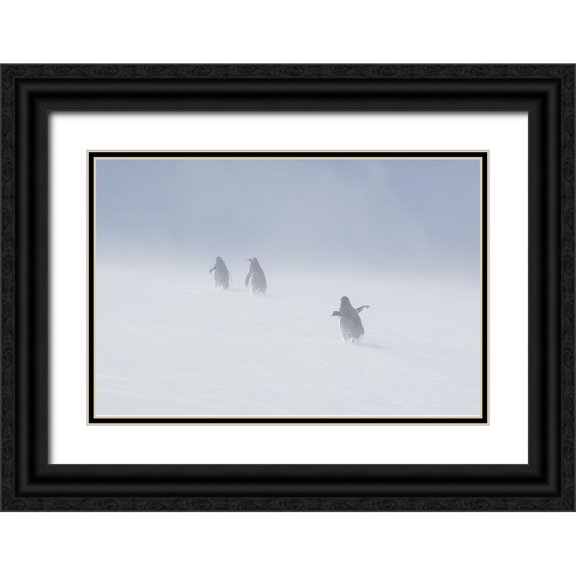 W Oletta 14x11 Black Ornate Wood Framed with Double Matting Museum Art Print Titled - In The Snowstorm