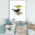 thumbnail image 2 of Designart 'Ancient Australian Birds XV' Traditional Framed Canvas Wall Art Print, 2 of 5