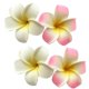 thumbnail image 1 of 4 pinzas para el pelo con cabeza de espuma de plumeria hawaiana blanca y rosa, pinzas para el pelo para novia, boda, fiesta, playa, pinzas para el pelo, accesorios para el cabello (7 cm), 1 of 5